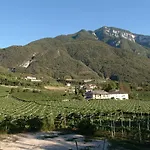 酒店 Bertagnolli - Del Bel Sorriso 特伦托