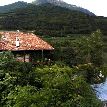 Bertagnolli - Del Bel Sorriso Trento