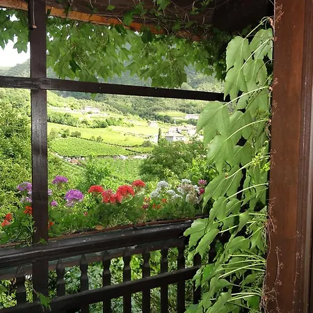 Bertagnolli - Del Bel Sorriso Trento