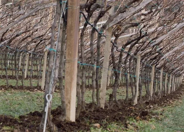 Bertagnolli - Del Bel Sorriso Hotel 3*