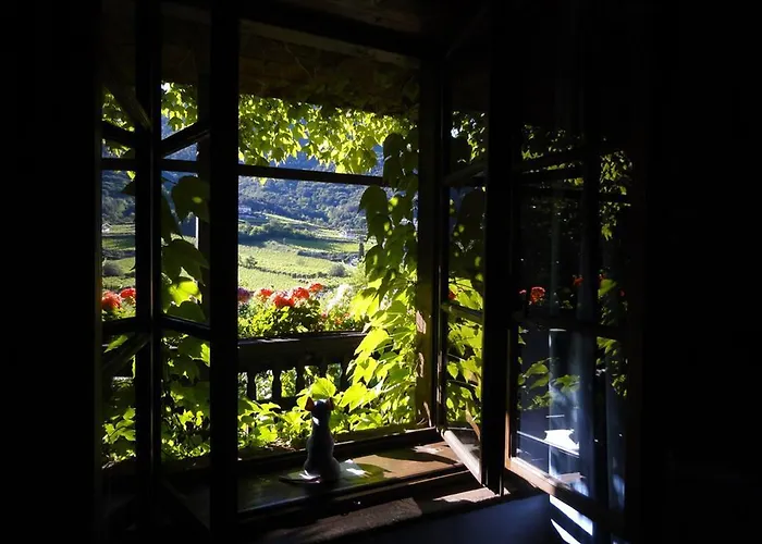 Bertagnolli - Del Bel Sorriso Hotel Trente